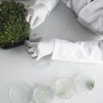 Ensüümid Effelis Bio pesugeelides.