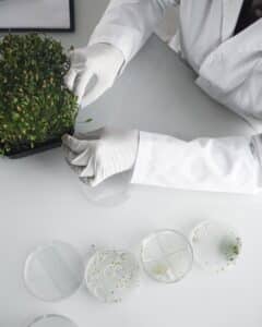 Ensüümid Effelis Bio pesugeelides.