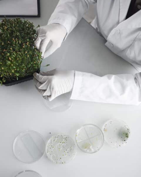 Ensüümid Effelis Bio pesugeelides.