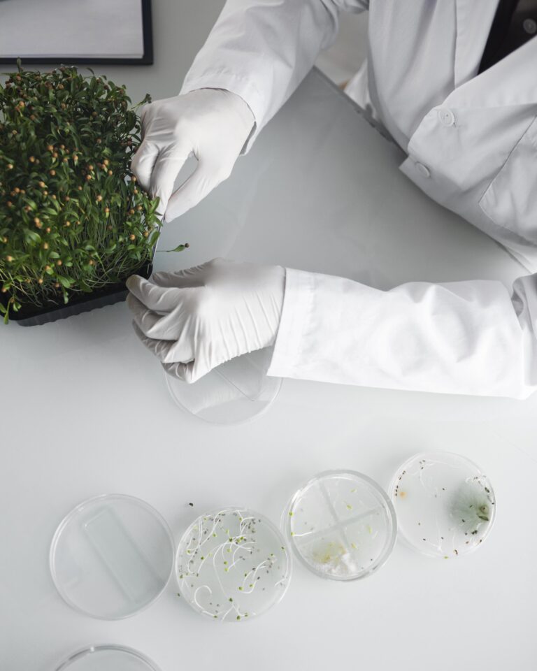 Ensüümid Effelis Bio pesugeelides.